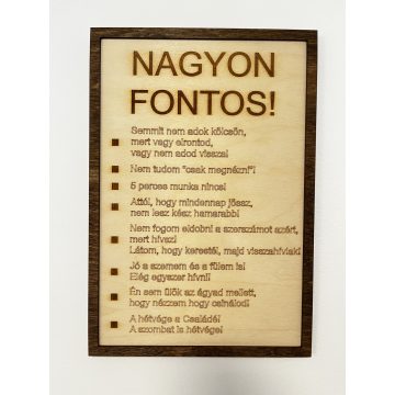   Vicces tábla szakembereknek, barkácsolóknak "Nagyon Fontos"